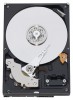 Western Digital Caviar Blue 500Гб (WD5153368AAKX)