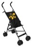 Bertoni Flash